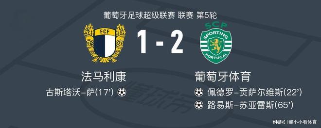 包含今晨浙江队外线爆发：葡超节点到来；悬念犹存；纪律约束更严格的词条  第1张